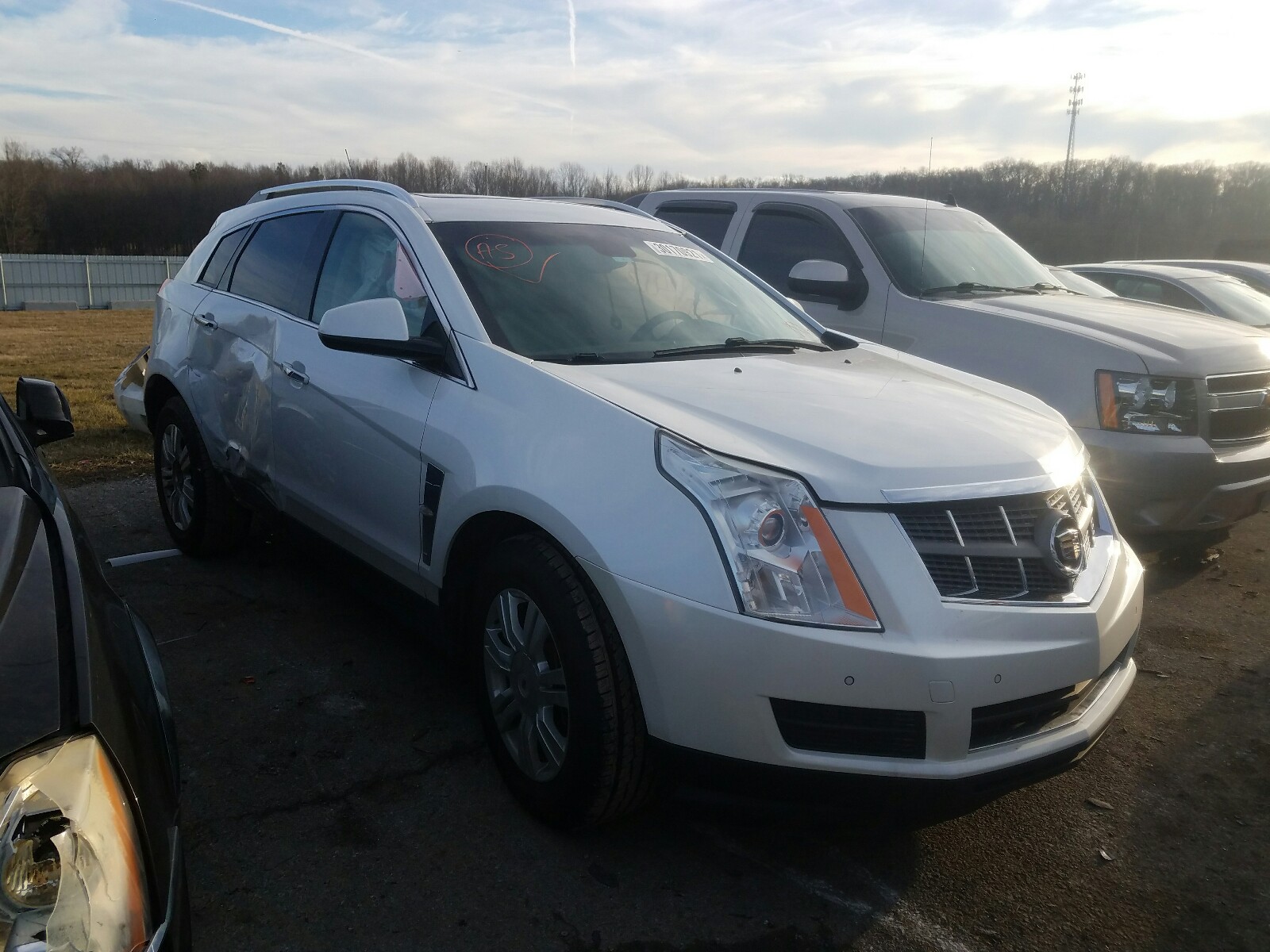 CADILLAC SRX LUXURY 2011 3gyfnaey7bs615506