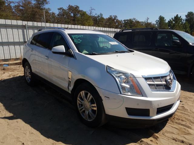 CADILLAC SRX LUXURY 2010 3gyfnaey8as568100