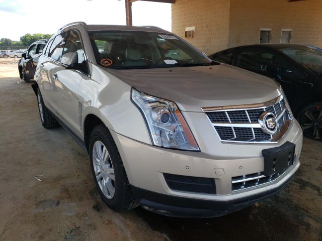 CADILLAC SRX LUXURY 2010 3gyfnaey8as590940