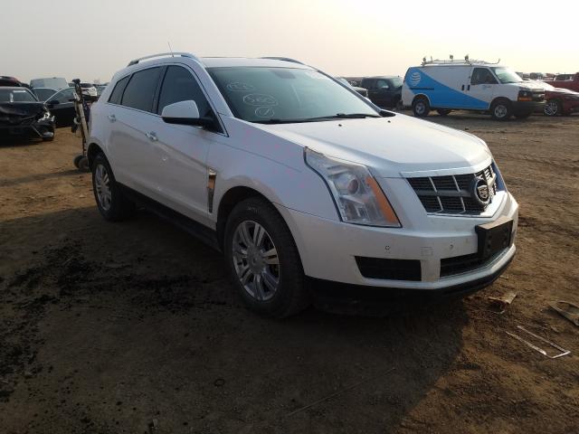 CADILLAC SRX LUXURY 2011 3gyfnaey8bs518802