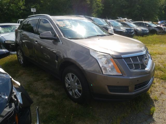 CADILLAC SRX LUXURY 2011 3gyfnaey8bs568762