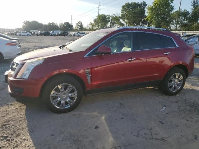 CADILLAC SRX LUXURY 2011 3gyfnaey8bs625672