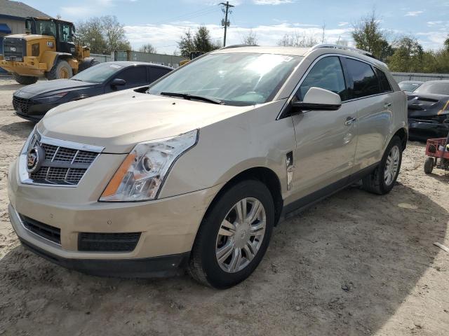 CADILLAC SRX 2010 3gyfnaey9as557087