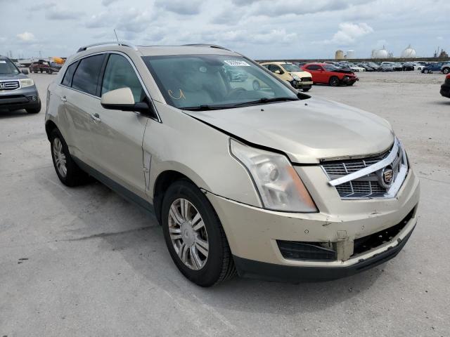 CADILLAC SRX LUXURY 2010 3gyfnaey9as568512