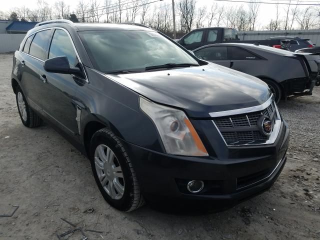 CADILLAC SRX LUXURY 2010 3gyfnaey9as630958