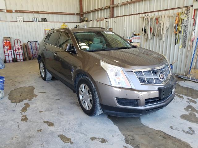 CADILLAC SRX LUXURY 2011 3gyfnaey9bs521773