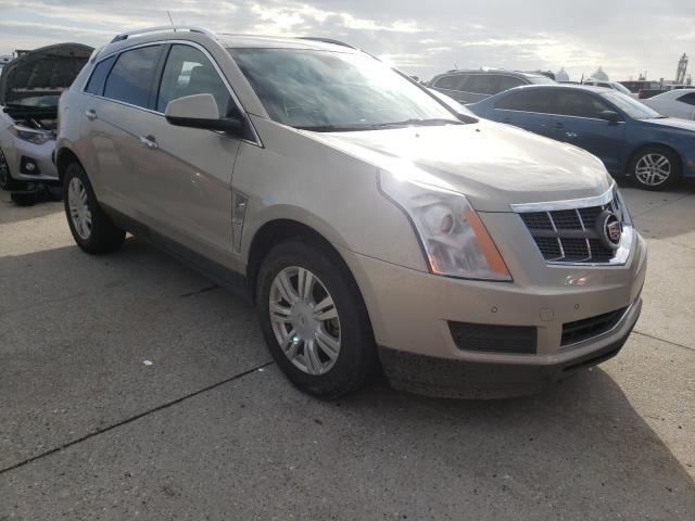 CADILLAC SRX LUXURY 2010 3gyfnaeyxas504950