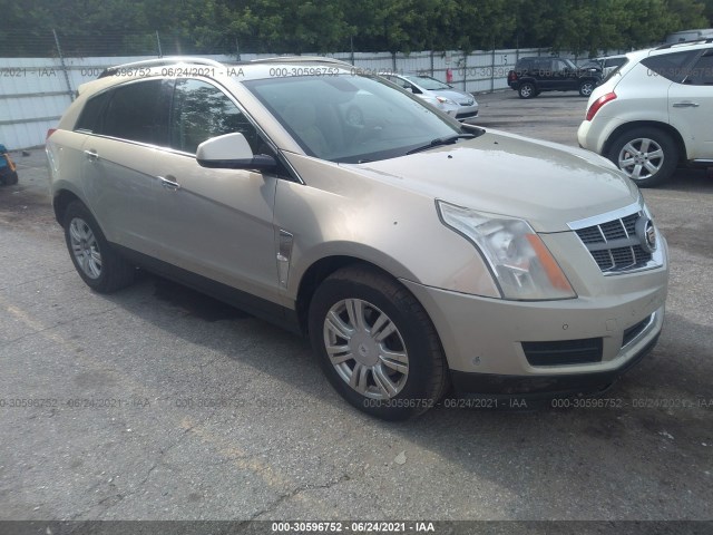 CADILLAC SRX 2010 3gyfnaeyxas525815