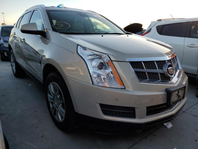 CADILLAC SRX LUXURY 2010 3gyfnaeyxas551346