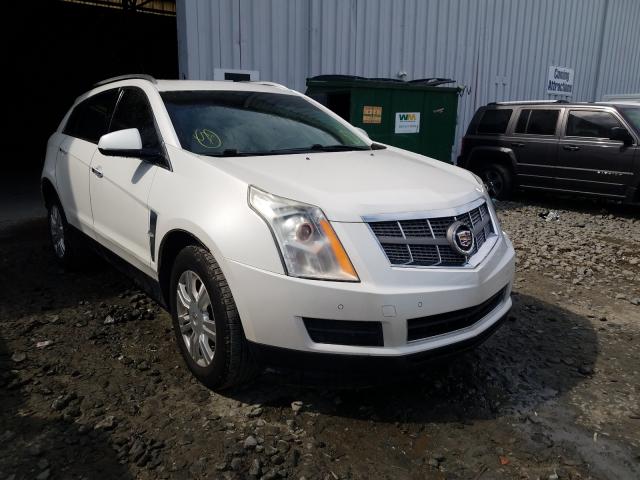 CADILLAC SRX LUXURY 2010 3gyfnaeyxas566185