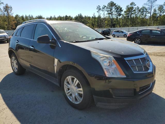 CADILLAC SRX LUXURY 2010 3gyfnaeyxas567711