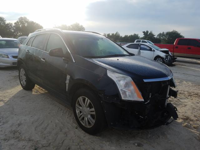 CADILLAC SRX LUXURY 2010 3gyfnaeyxas605213