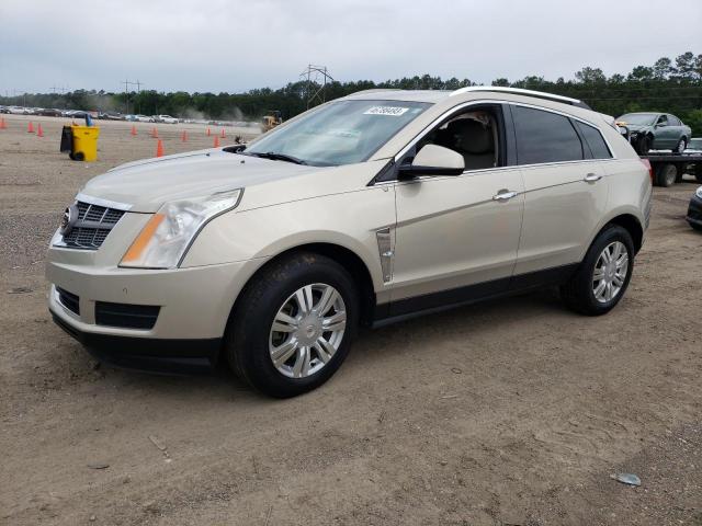 CADILLAC SRX LUXURY 2010 3gyfnaeyxas608810