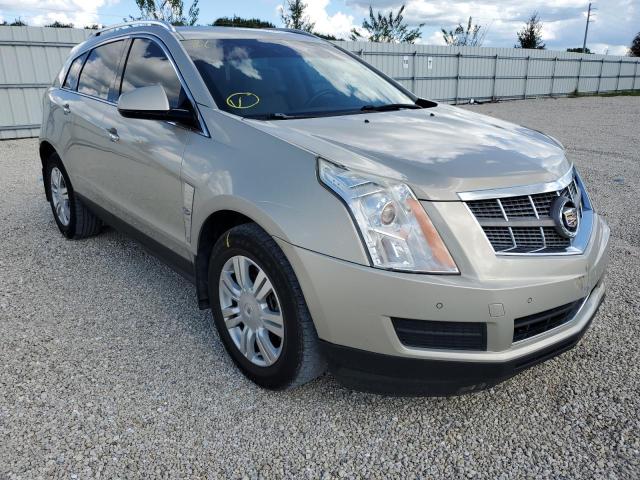 CADILLAC SRX LUXURY 2010 3gyfnaeyxas612517