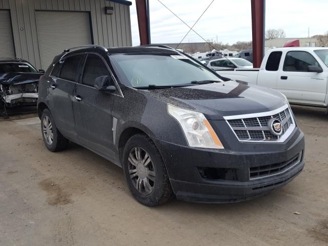 CADILLAC SRX LUXURY 2010 3gyfnaeyxas622948