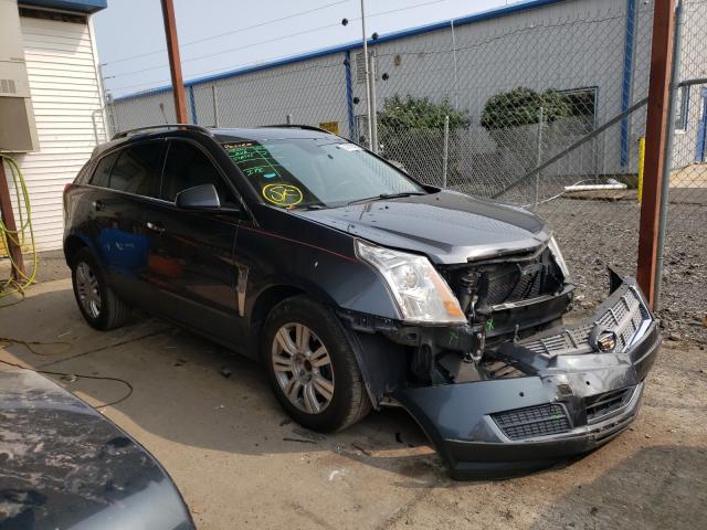 CADILLAC SRX LUXURY 2010 3gyfnaeyxas625204