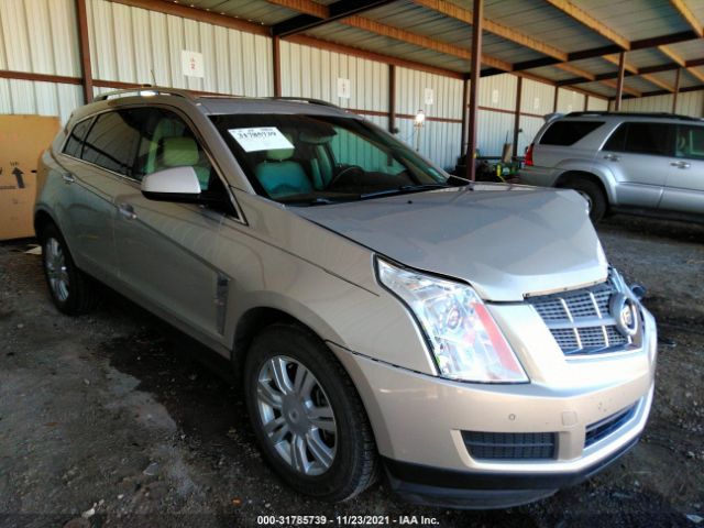 CADILLAC SRX 2010 3gyfnaeyxas646814