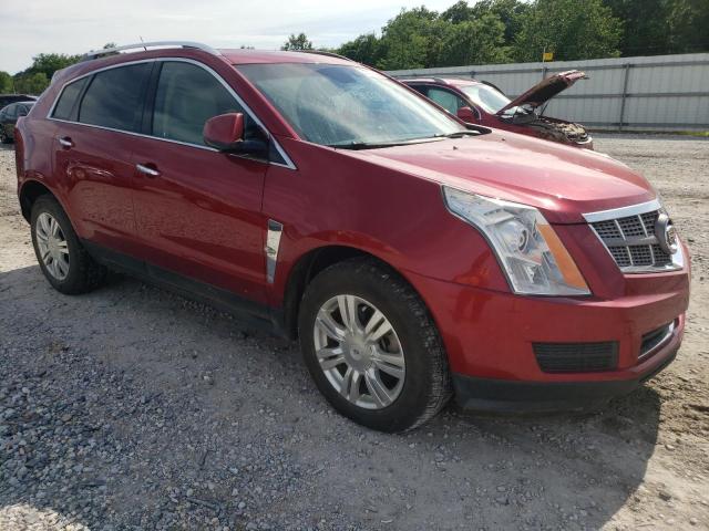 CADILLAC SRX LUXURY 2010 3gyfnaeyxas649213