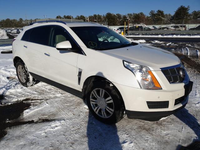 CADILLAC SRX LUXURY 2010 3gyfnaeyxas654878