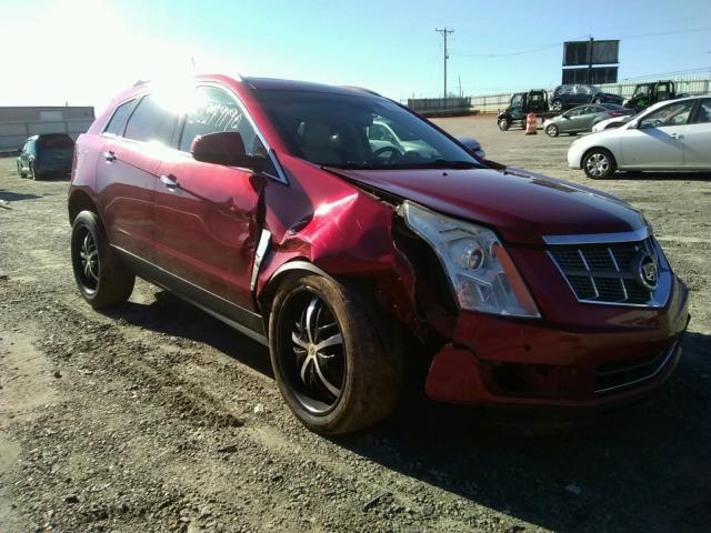 CADILLAC SRX LUXURY 2011 3gyfnaeyxbs534693