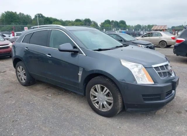 CADILLAC SRX 2011 3gyfnaeyxbs564390