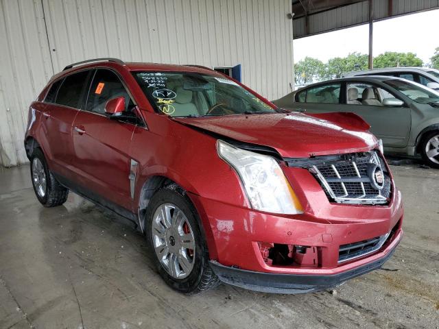 CADILLAC SRX LUXURY 2011 3gyfnaeyxbs568830