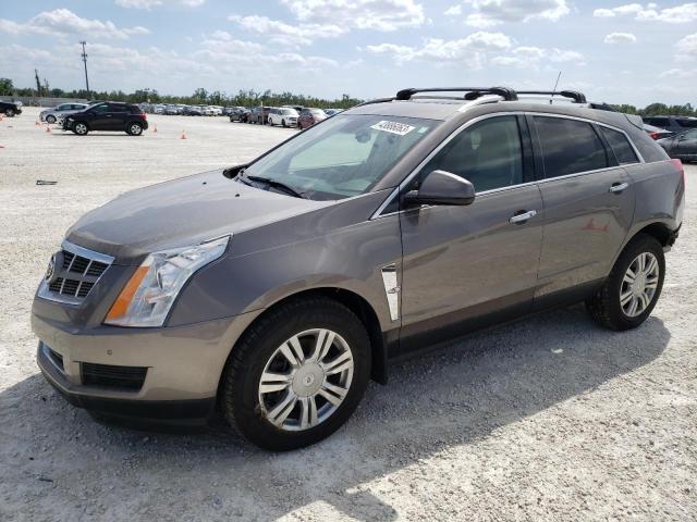 CADILLAC SRX LUXURY 2011 3gyfnaeyxbs582923