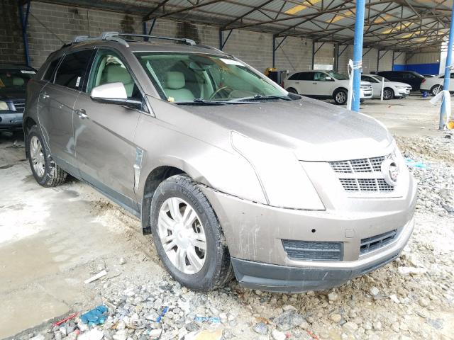 CADILLAC SRX LUXURY 2011 3gyfnaeyxbs587734