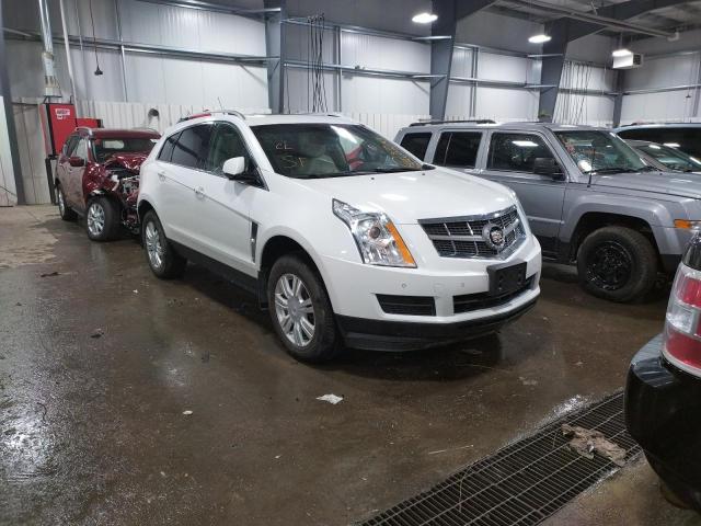 CADILLAC SRX LUXURY 2011 3gyfnaeyxbs609392