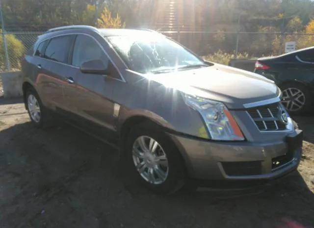 CADILLAC SRX 2011 3gyfnaeyxbs648337