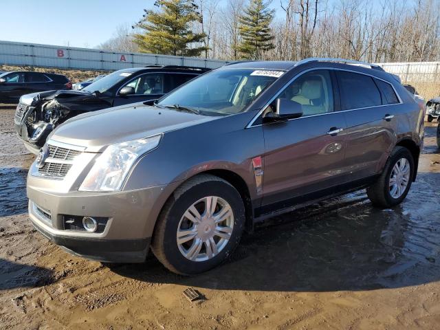 CADILLAC SRX 2011 3gyfnaeyxbs661816