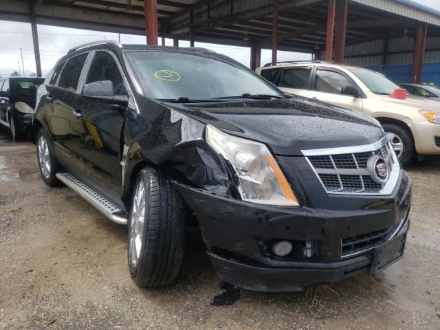 CADILLAC SRX PERFOR 2010 3gyfnbey0as521875