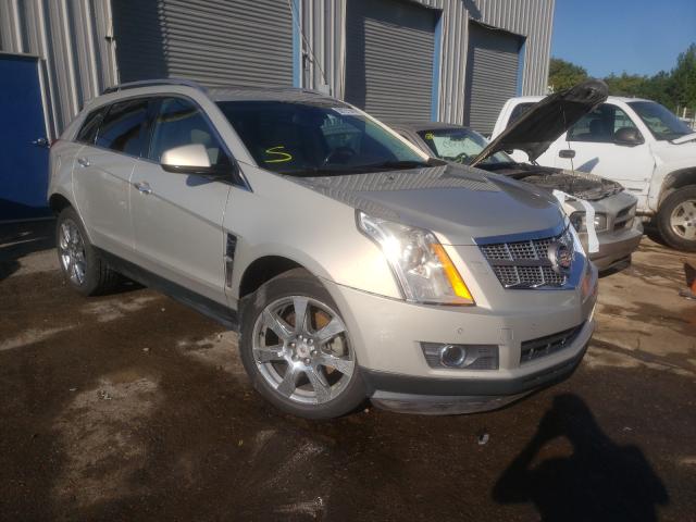 CADILLAC SRX PERFOR 2010 3gyfnbey0as522198