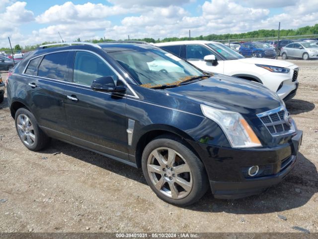 CADILLAC SRX 2010 3gyfnbey0as524274