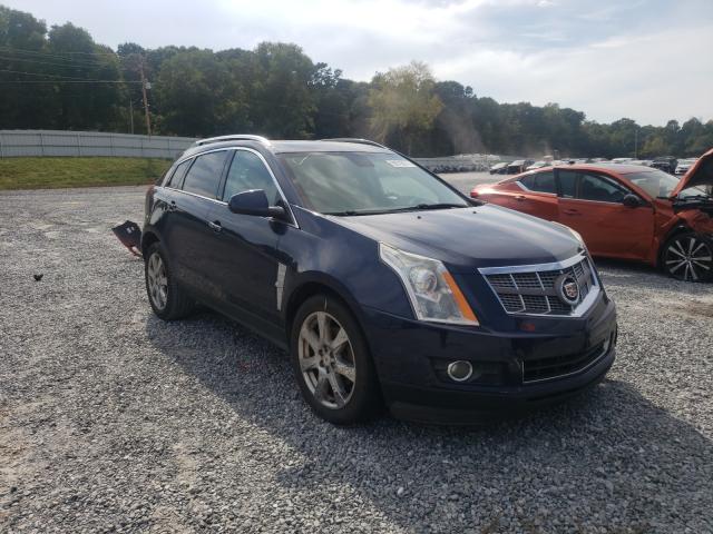 CADILLAC SRX PERFOR 2010 3gyfnbey0as541544