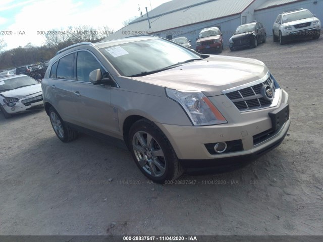 CADILLAC SRX 2010 3gyfnbey0as553032