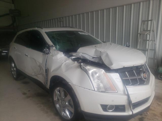 CADILLAC SRX PERFOR 2010 3gyfnbey0as560000