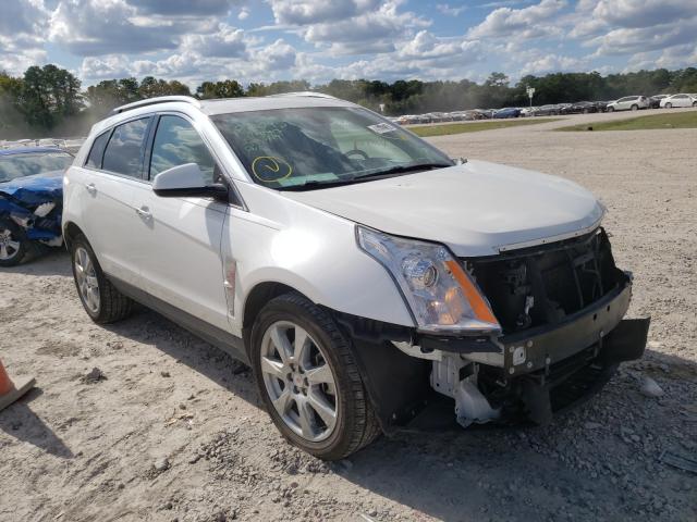 CADILLAC SRX PERFOR 2010 3gyfnbey0as567142