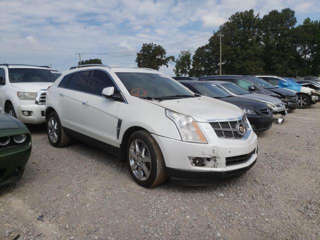 CADILLAC SRX PERFOR 2010 3gyfnbey0as576021