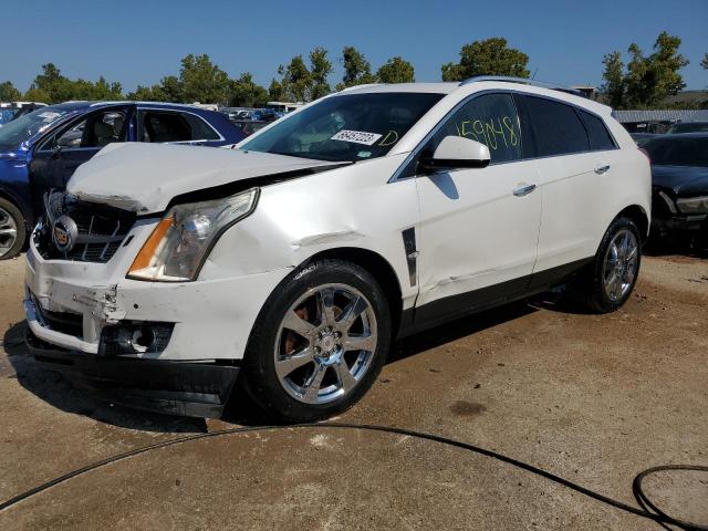 CADILLAC SRX PERFOR 2010 3gyfnbey0as587830