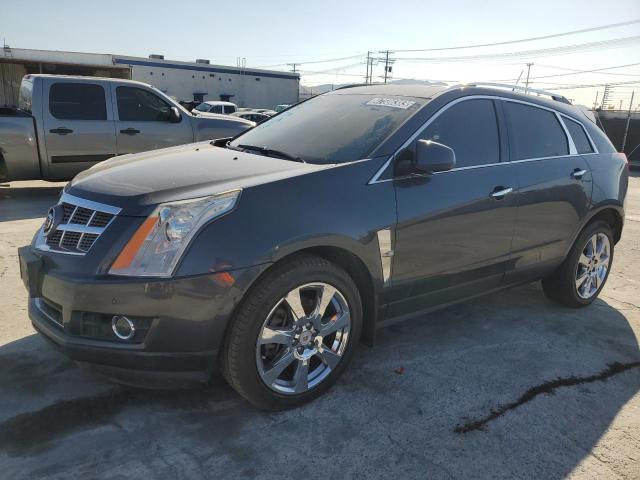 CADILLAC SRX PERFOR 2010 3gyfnbey0as592543