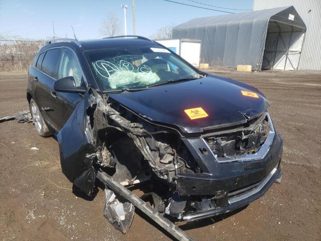 CADILLAC SRX PERFOR 2010 3gyfnbey0as626786