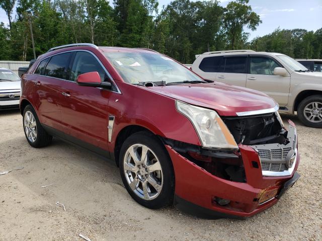 CADILLAC SRX PERFOR 2010 3gyfnbey0as632846