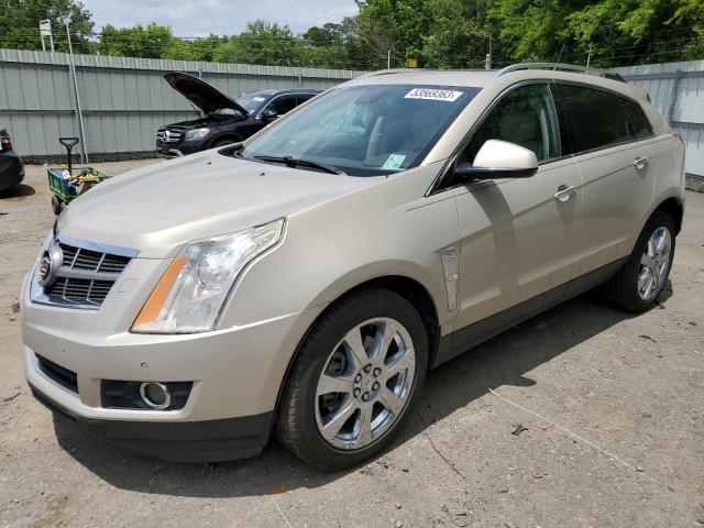 CADILLAC SRX PERFOR 2010 3gyfnbey0as646326