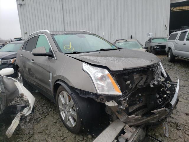 CADILLAC SRX PERFOR 2011 3gyfnbey0bs672488