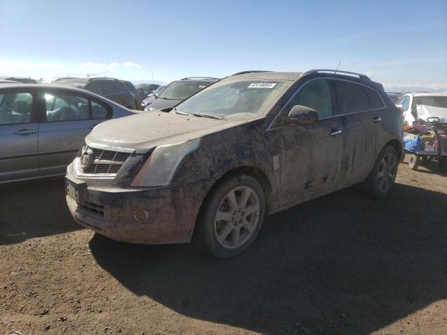 CADILLAC SRX PERFOR 2010 3gyfnbey1as605283