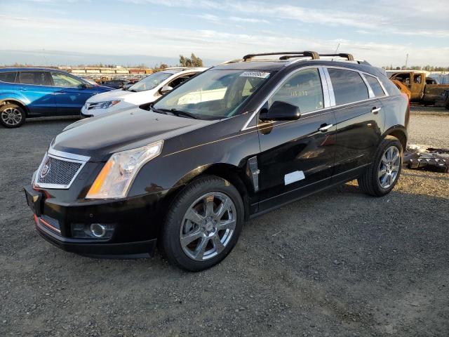 CADILLAC SRX PERFOR 2010 3gyfnbey1as630832