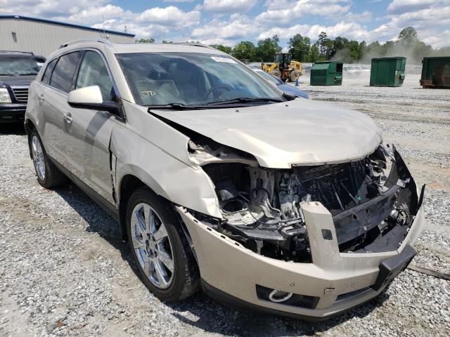 CADILLAC SRX PERFOR 2010 3gyfnbey1as646884