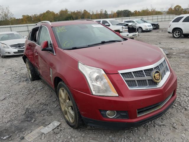 CADILLAC SRX PERFOR 2011 3gyfnbey1bs617936