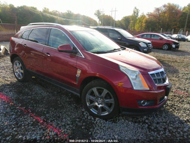 CADILLAC SRX 2010 3gyfnbey2as524552